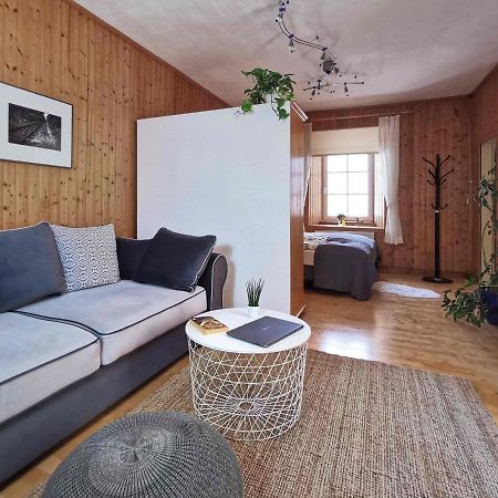Ferienwohnung Himmelberg 80M2 In Der Altstadt Und Toll Fuer Familien Клагенфурте Экстерьер фото