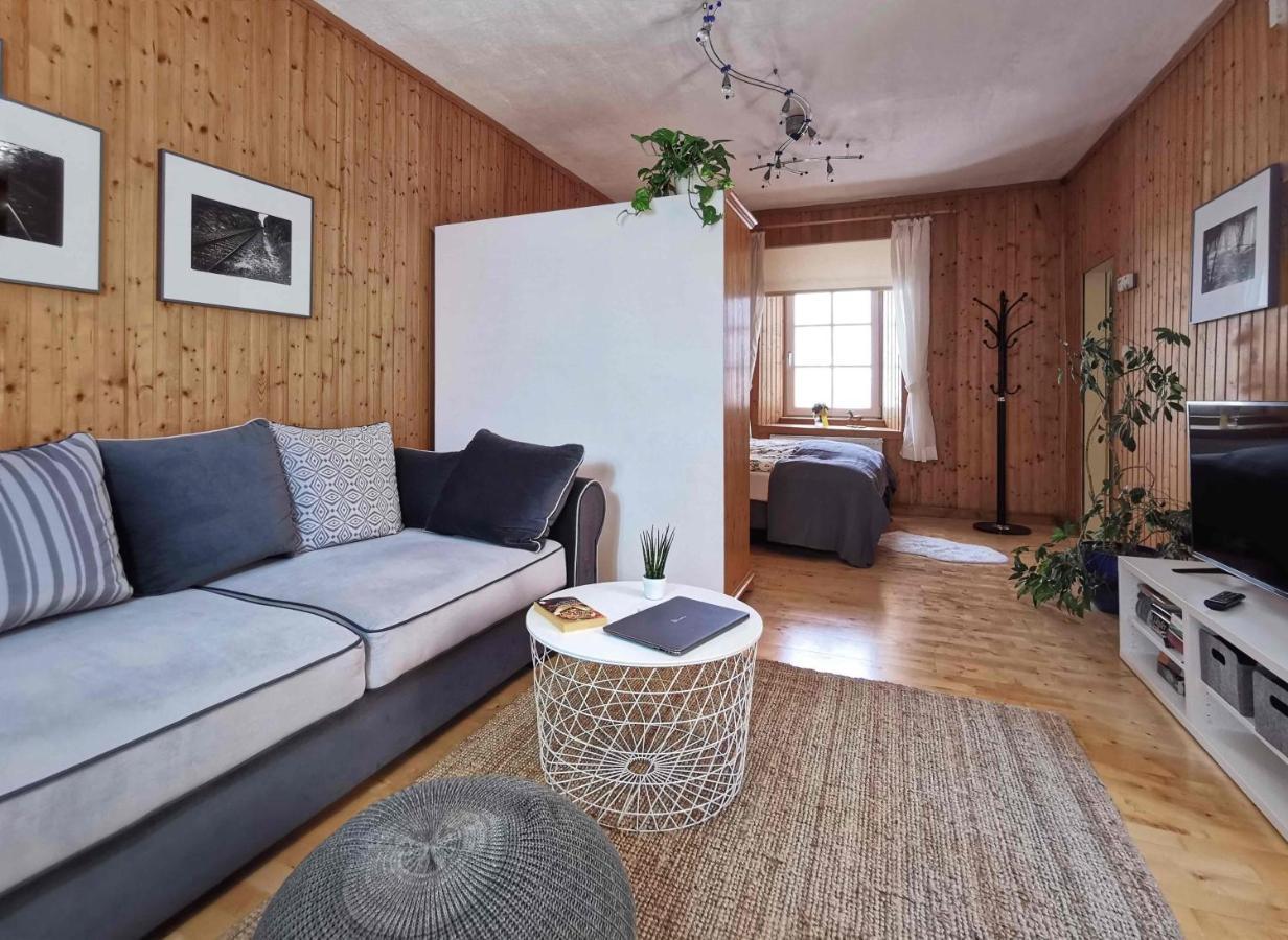 Ferienwohnung Himmelberg 80M2 In Der Altstadt Und Toll Fuer Familien Клагенфурте Экстерьер фото